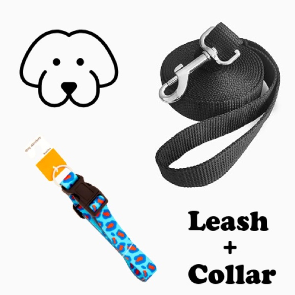 [S] Set of dog collar & leash size small funky leopard print bundle
